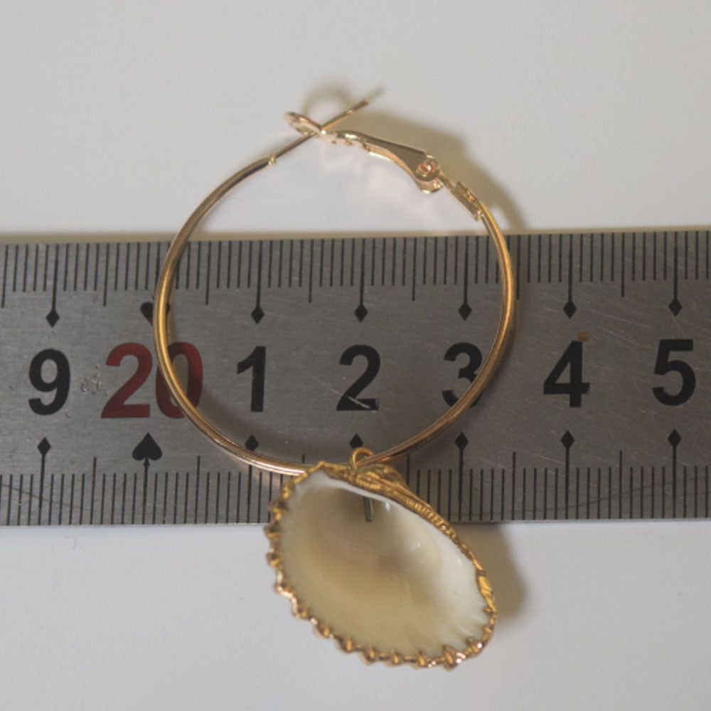 summer beach real cowrie shell hoop earrings