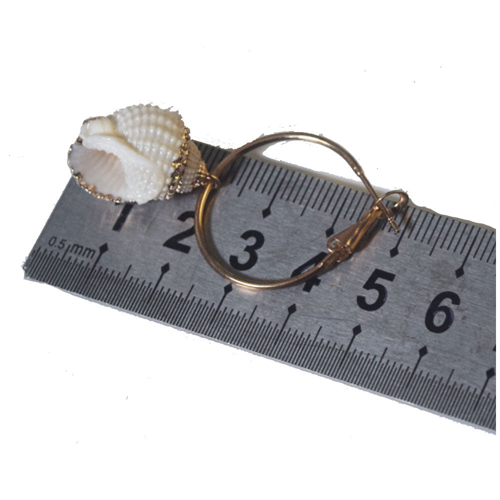 summer beach real cowrie shell hoop earrings