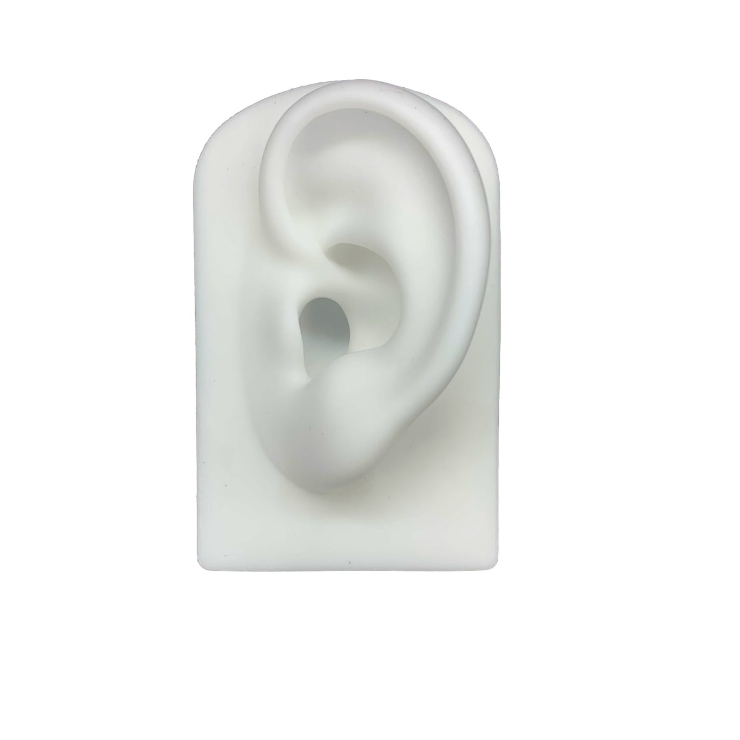 hot selling silicone ear model to display the earrings white black skin colors