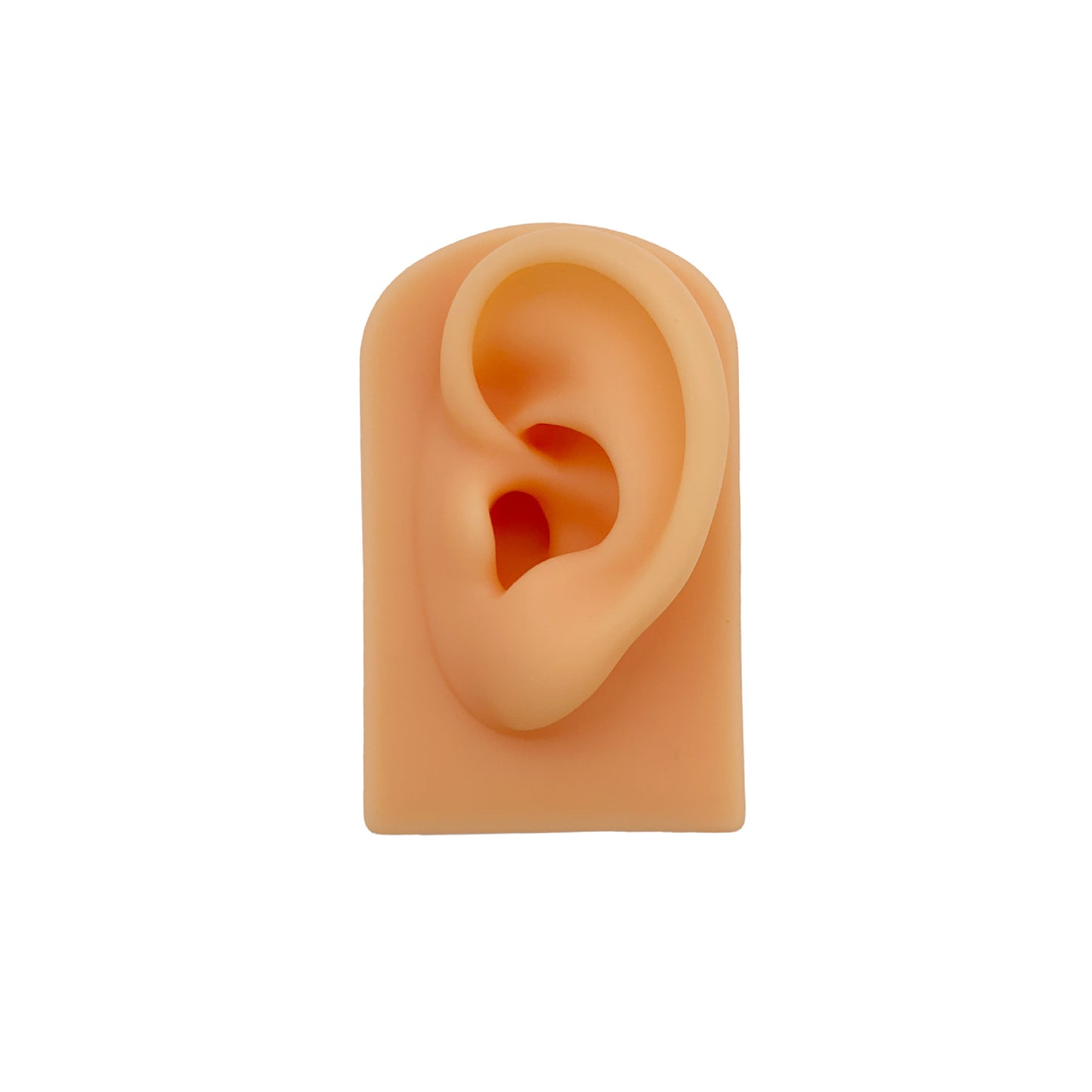 hot selling silicone ear model to display the earrings white black skin colors