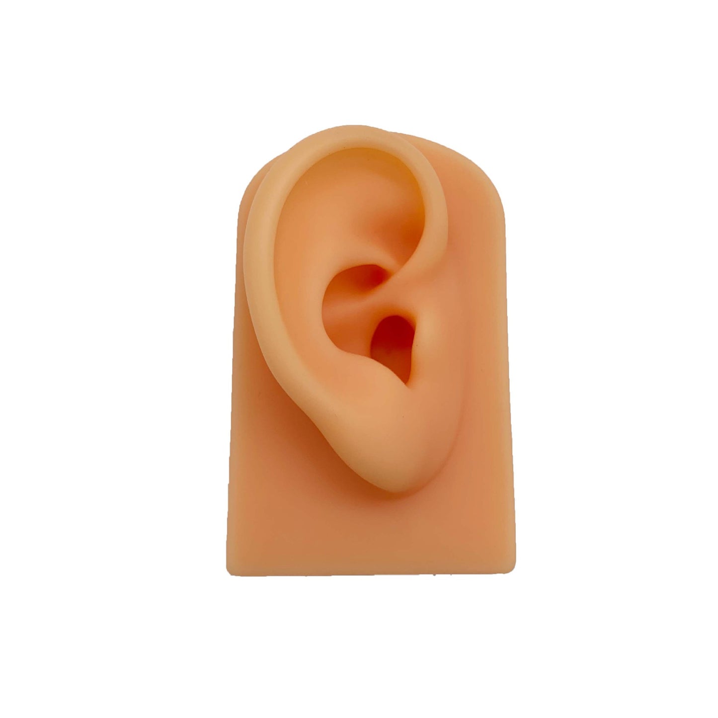 hot selling silicone ear model to display the earrings white black skin colors