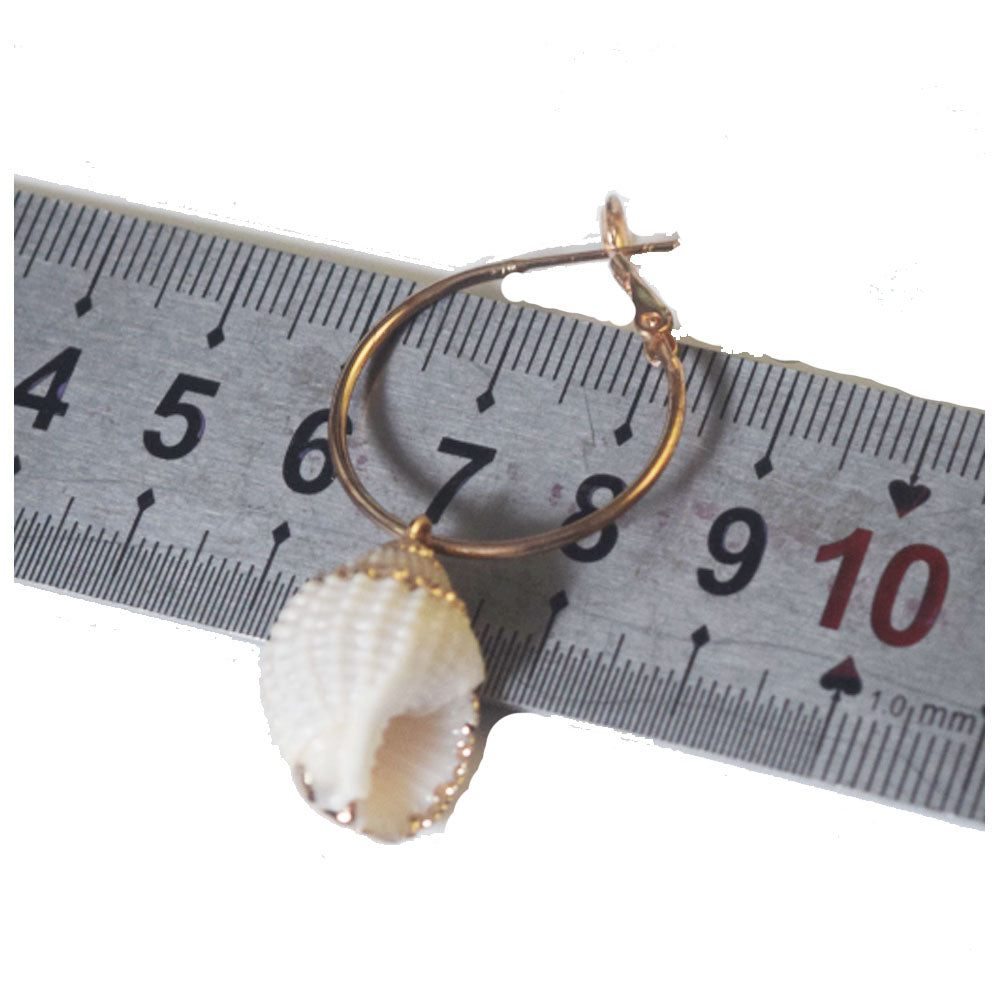 summer beach real cowrie shell hoop earrings
