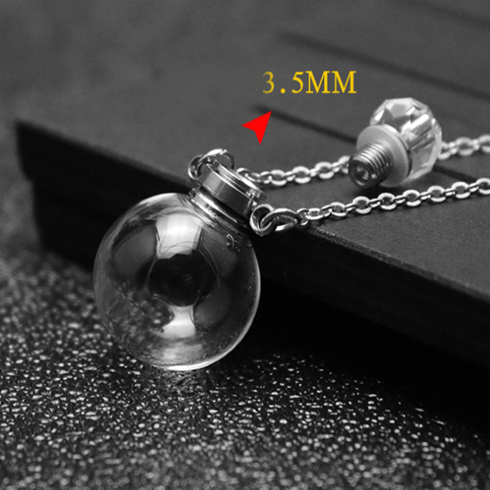 Stainless Steel Chain with Glass Vial Ashes Cremation Essential Oil Make a Wish Perfume Urn Pendant Necklace Remembrance